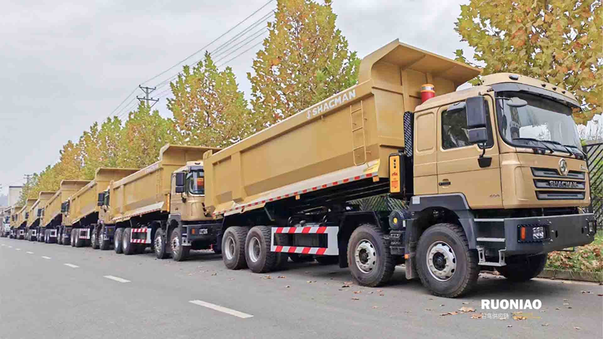 SHACMAN F3000 8×4 Camión Volquete 🇧🇴